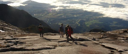 Borneos regnskog med bestigning av Mount Kinabalu hero image