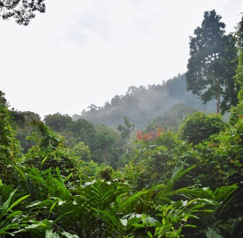 Färdledare hero background image