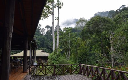 Mot Danum Valley image