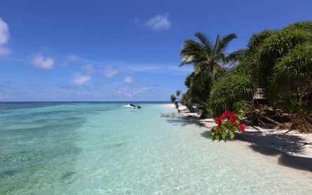 Ön Lankayan - Vita stränder och turkost hav image