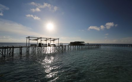 Åter till Sandakan image