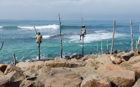 Via Galle till Hikkaduwa image