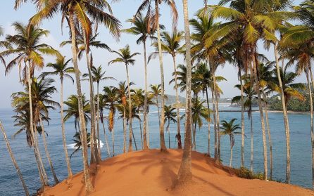 Mot Sri Lanka image