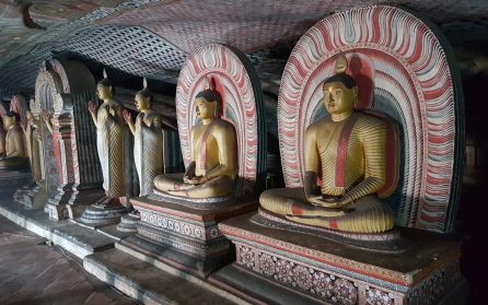 Fiskmarknad och Dambulla caves image