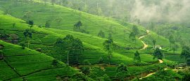Sri Lanka thumbnail
