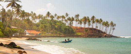 Grönskande Sri Lanka med sol och bad i Mirissa hero image