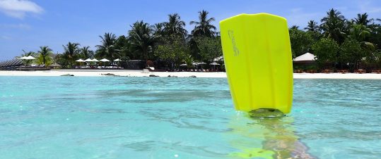 Sri Lanka med sol och bad på sagolika Maldiverna hero image