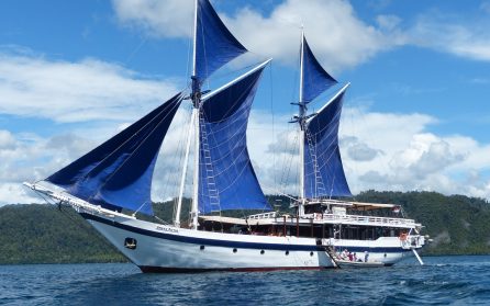 Raja Ampat och vårt skepp Ombak Putih/Katarina image