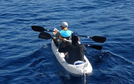 Snorkling och island hopping image