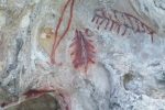 gallery image 31