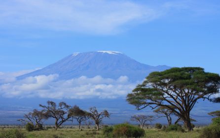 Mot Tanzania och Kilimanjaro image