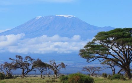 Mot Tanzania och Kilimanjaro image