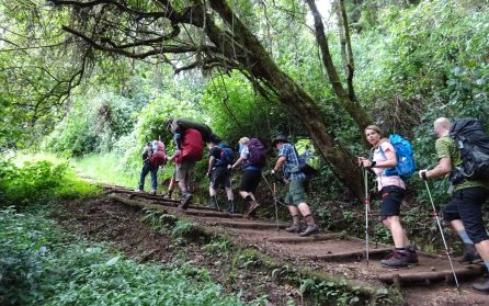 Moshi – Londorosi Park Gate – Mti Mkubwa Camp image