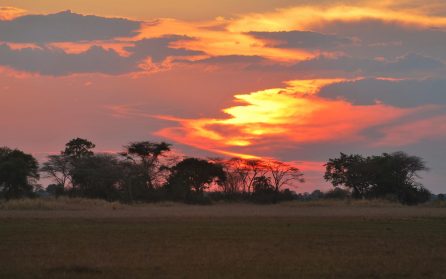 Lilongwe - Hemkomst image