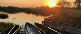 Tältsafari – Zimbabwe, Botswana & Victoriafallen thumbnail