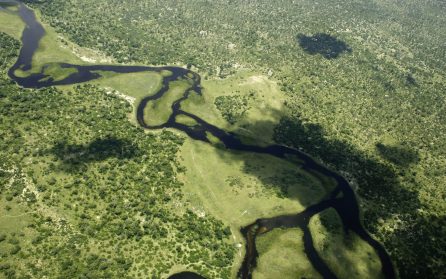 Maun image
