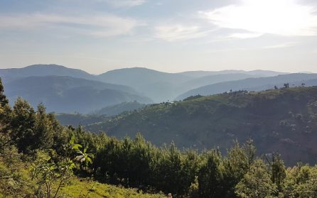 Mot Uganda image