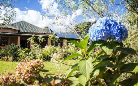 Ankomst till Mulanje image