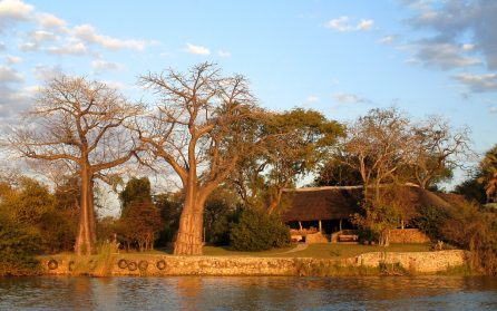 Liwonde National Park image