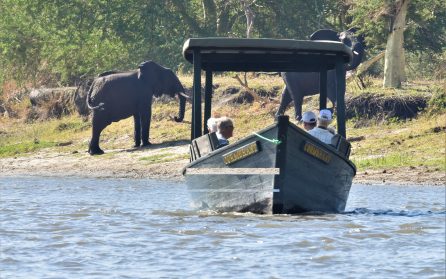 Liwonde National Park - båttur i kvällssol image