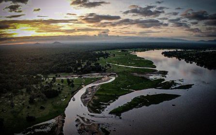 Mot Malawi image