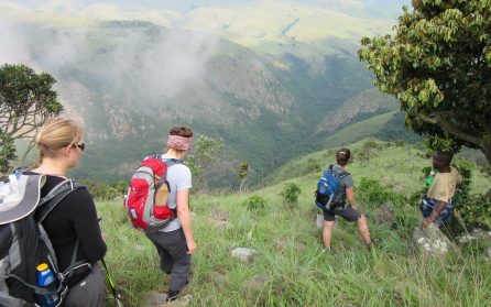 Kungariket Swaziland/eSwatini image