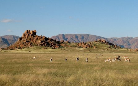 Brandberg image