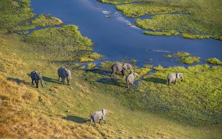 Safariturer i olika områden image