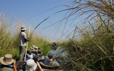 Okavangodeltat i Mokoros - Camping i det vilda image