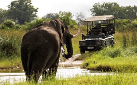 Mot Botswana image