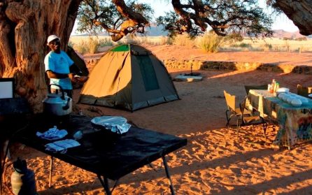 Dag 4. Genom Kalahari till Maun - porten till Okavango image