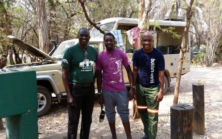 Hemresa eller stanna extra dagar i Vic falls image