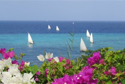 Flyg till Pemba Island image