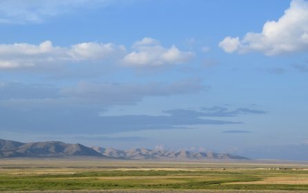 Mot Mongoliet image