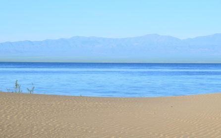 Över saigastäppen till Dörgön Nuur image