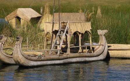 Heldagsexkursion på Titicacasjön image