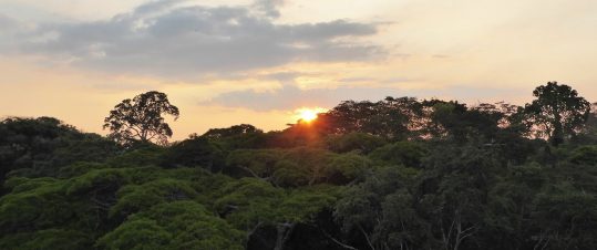 Amazonas till Anderna hero image