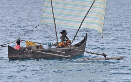 Ifaty, vid havet image