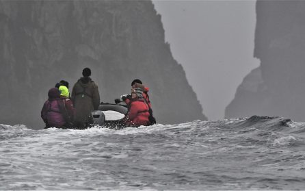 The Snares image