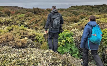 Enderby Island - magnifik flora och fauna image