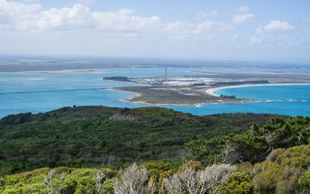 Åter i Port Bluff, avslutning image