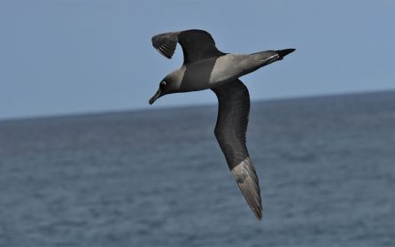Över havet mot nordost image
