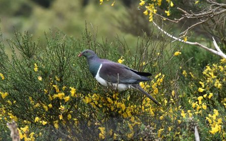 Landstigning och hemresa image