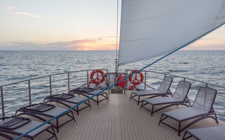 Tahaa image