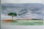 gallery image 0