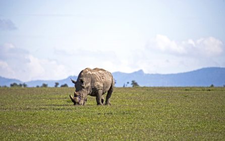 Avresa från Sverige image