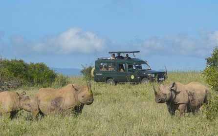 Ol Pejeta image