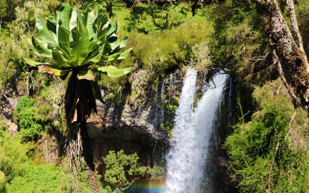 Aberdare National Park image
