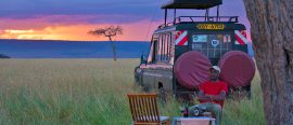 Klassisk safarivecka i Kenya – med Masai Mara och Nakuru thumbnail