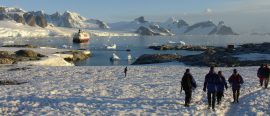 Antarktis och Rosshavet – Expeditionskryssning thumbnail
